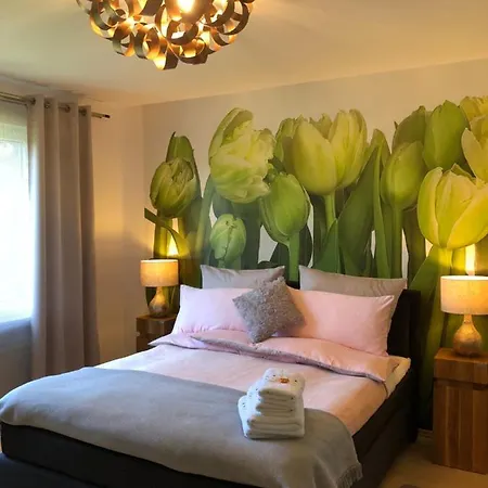 Апартаменты Apartment-47 Fulda Петерсберг