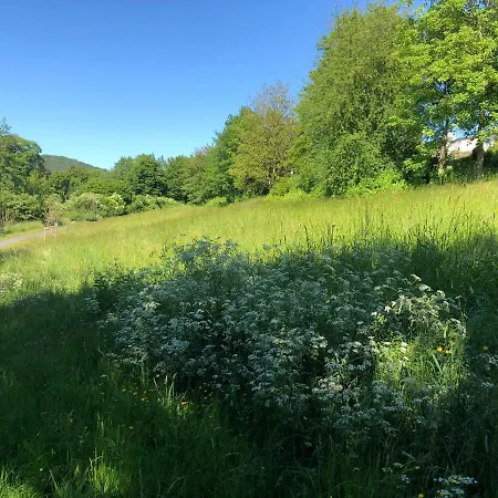 Apartman Apartment-47 Fulda