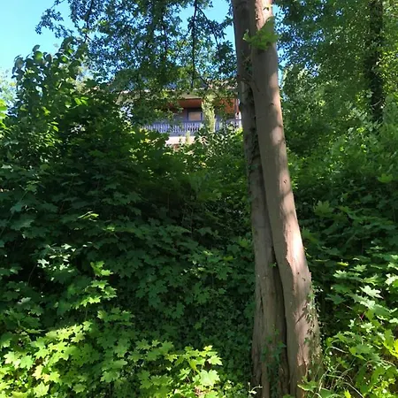 Apartamento Apartment-47 Fulda