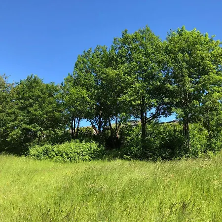 Apartman Apartment-47