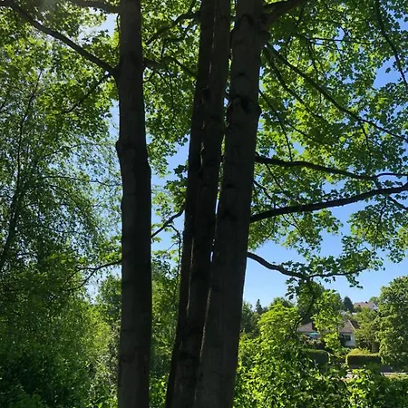 Apartment-47 Apartament Fulda