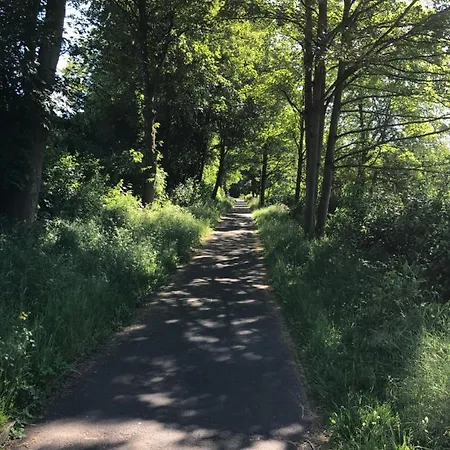 Apartament Apartment-47