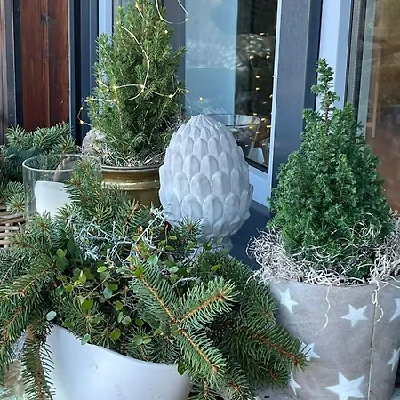 Apartament Apartment-47