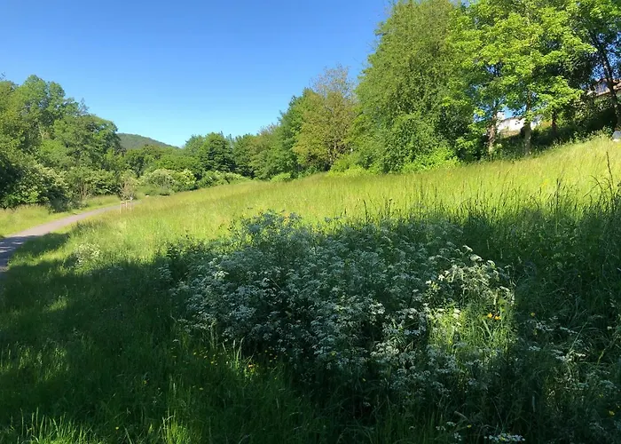 Appartement Apartment-47 Fulde