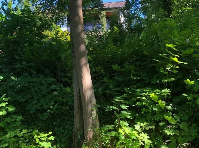 Apartment-47 Appartement