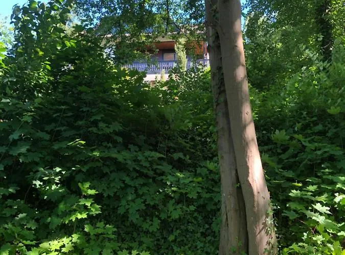 Appartement Apartment-47