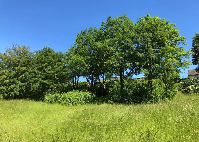 Appartement Apartment-47