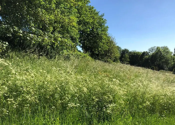 Appartement Apartment-47