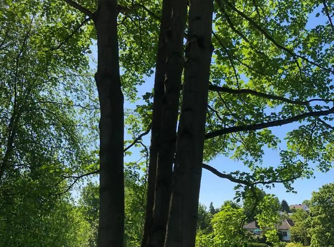 Apartment-47 아파트 풀다