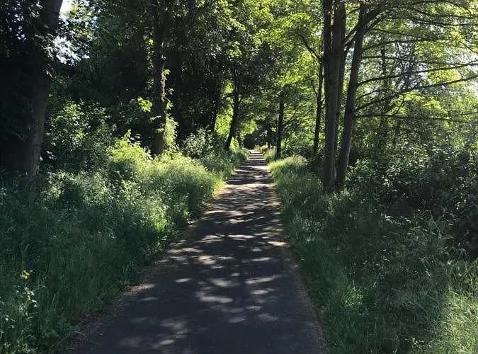 Appartement Apartment-47