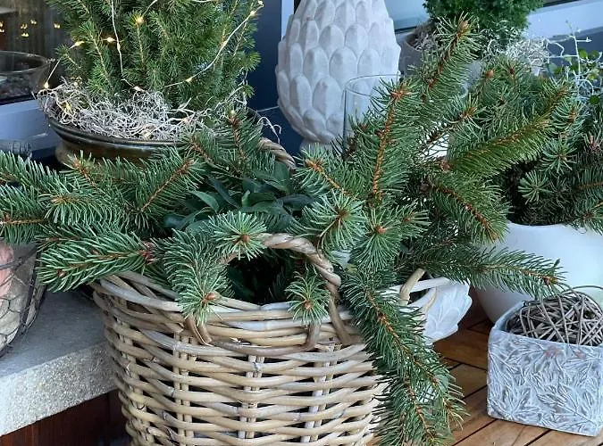 Appartement Apartment-47 Fulde